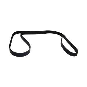 Accessory Drive Belt